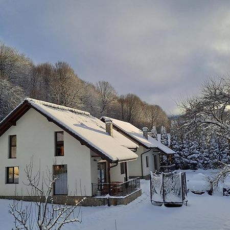 Тиловите Къщи Ribaritsa Dış mekan fotoğraf