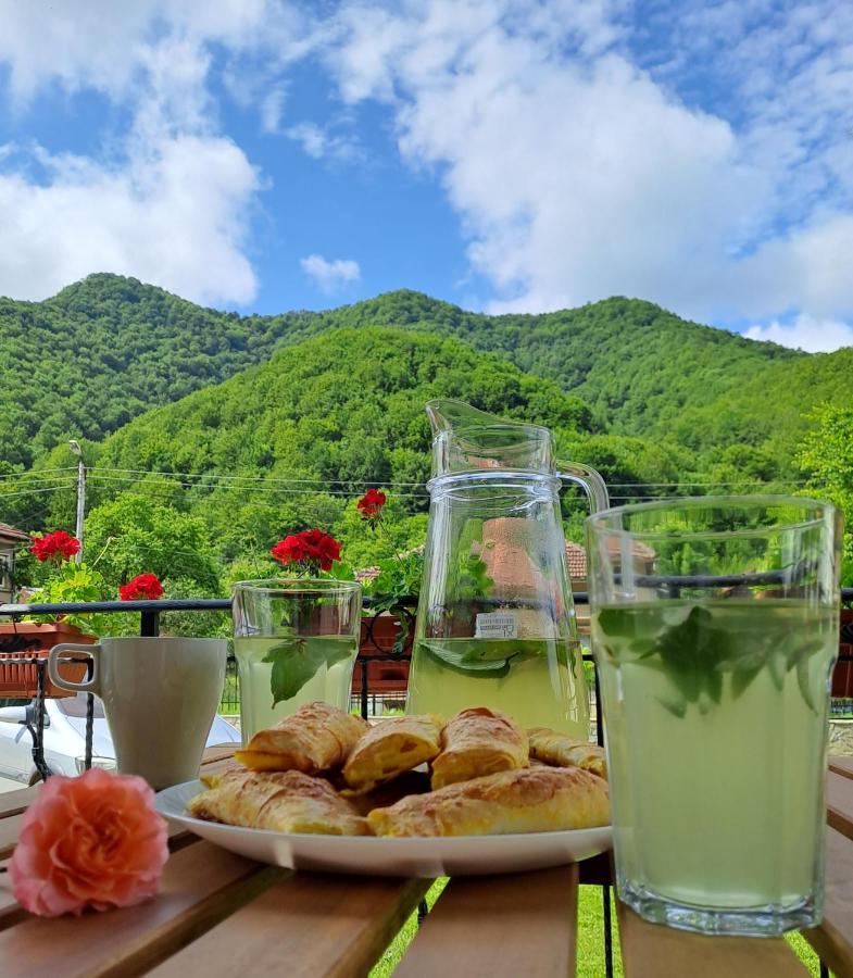 Тиловите Къщи Ribaritsa Dış mekan fotoğraf