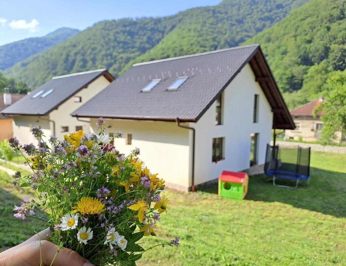 Тиловите Къщи Ribaritsa Dış mekan fotoğraf